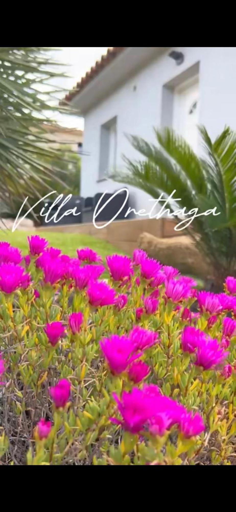 Villa Orethaga Piscine 10 Pers Porto Vecchio מראה חיצוני תמונה