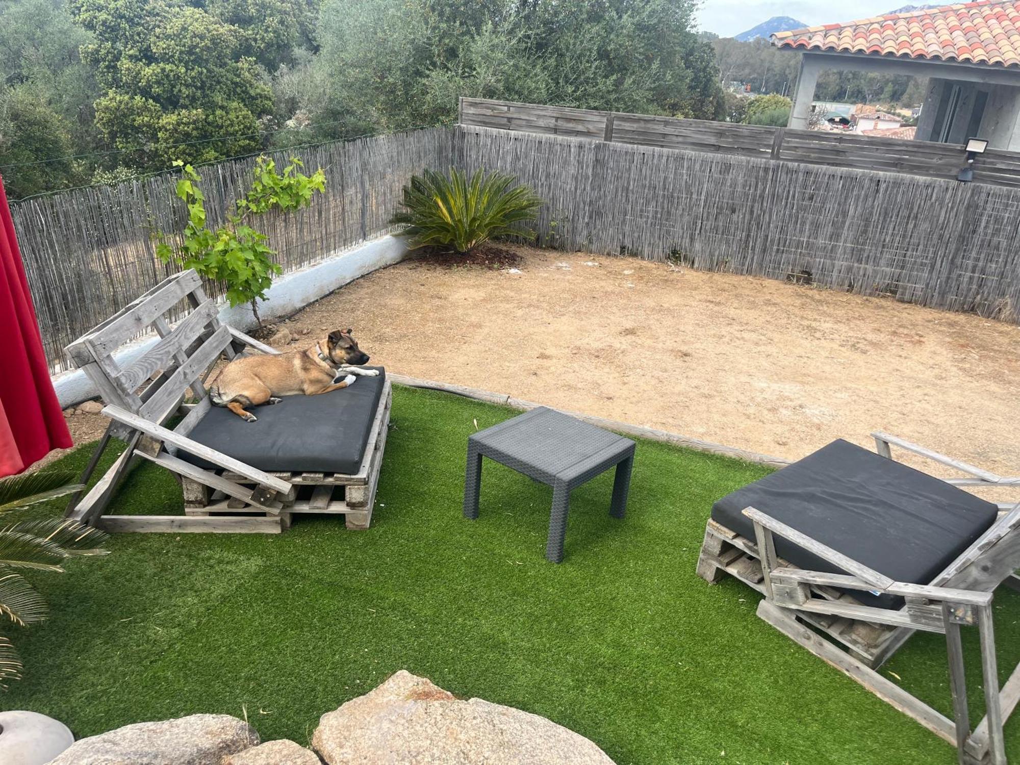 Villa Orethaga Piscine 10 Pers Porto Vecchio מראה חיצוני תמונה